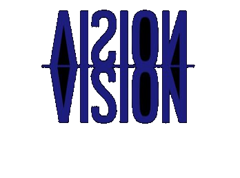 Vision Behavioral Health